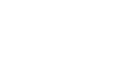 Lion Logo